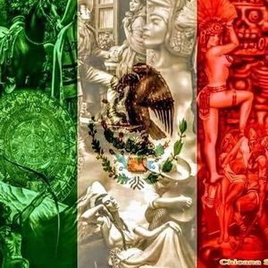 Meet your Posher, Alberto